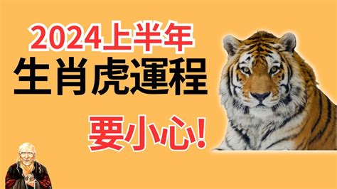 2023虎運勢|【屬虎2023年運程】虎虎生風！2023屬虎運程全解析：財利滾。